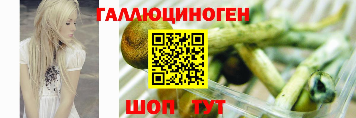 Псилоцибиновые грибы MAGIC MUSHROOMS  Вход с VPN  Калининград 